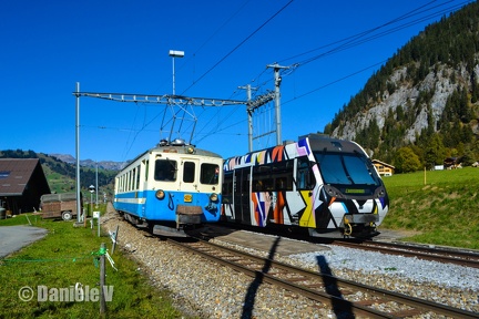 DSC 4923 Remake