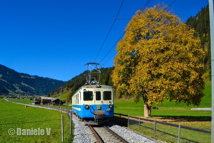 DSC 5007 Remake