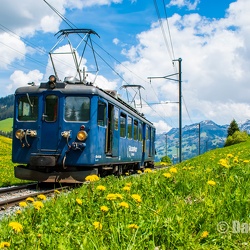 Série BDe 4/4 3001 à 3006