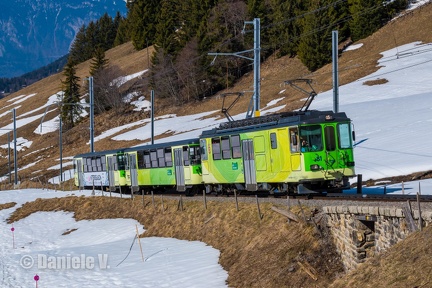 BDeh 4/4 81 + Bt 61 + Bt 63