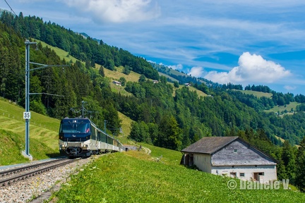 8001 + Panoramic