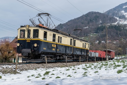 DSC 2363 copie