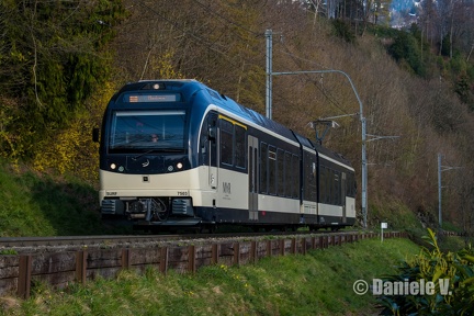 7503