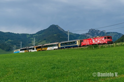 6005 + Panoramic