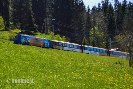 8004 + Panoramic