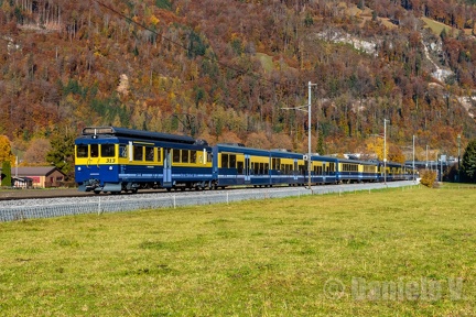 313