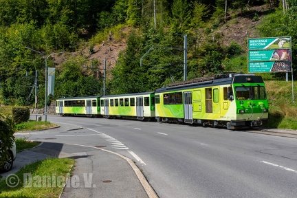 BDeh 4/4 83 + B 66 + Bt 65